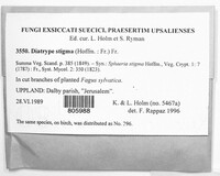 Image Associated With the Occurence